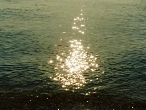 22-08_ADRIA_189