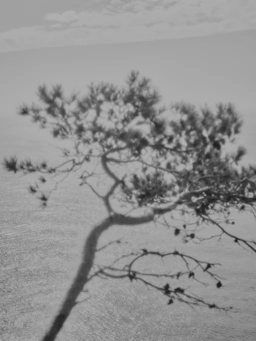 25-02_126